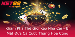 Kham Pha The Gioi Keo Nha Cai Bi Mat Ua Ca Cuoc Thang Hoa Cung Net88