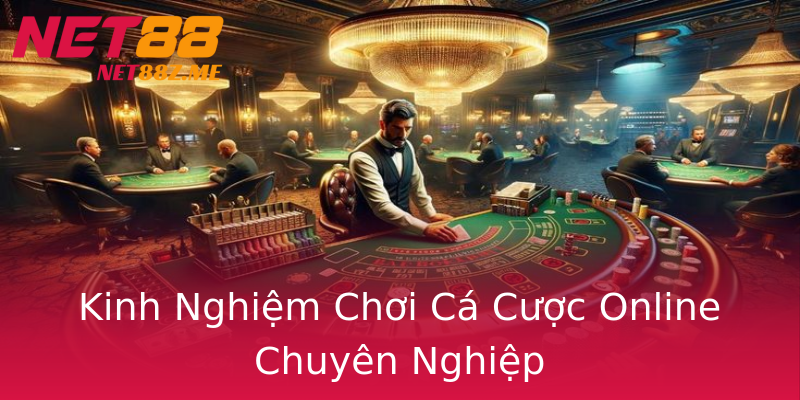 Kinh Nghiệm Chơi Cá Cược Online Chuyên Nghiệp Kinh Nghiệm Chơi Cá Cược Online Chuyên Nghiệp