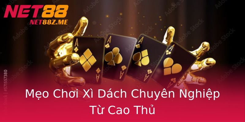 Mẹo Chơi Xì Dách Chuyên Nghiệp Từ Cao Thủ Mẹo Chơi Xì Dách Chuyên Nghiệp Từ Cao Thủ