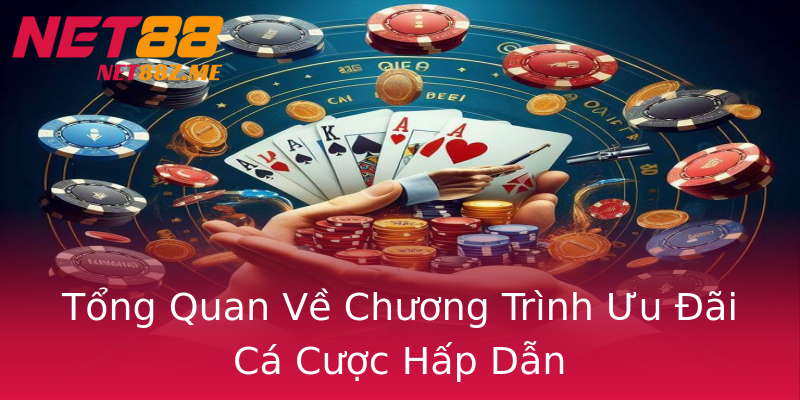 Tổng Quan Về Chương Trình Ưu Đãi Cá Cược Hấp Dẫn Tổng Quan Về Chương Trình Ưu Đãi Cá Cược Hấp Dẫn